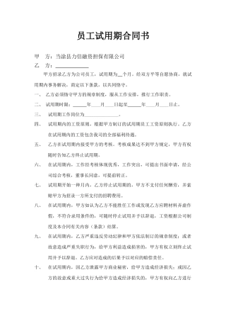2025年试用期合同书