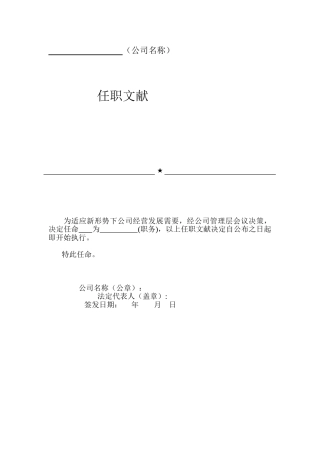 2025年公司任命书