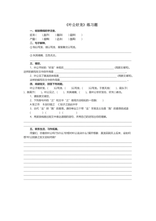 2025年叶公好龙练习题