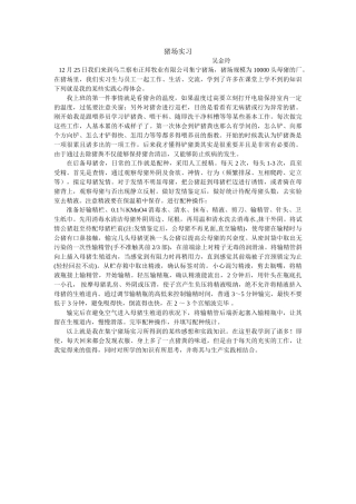 2025年猪场实习报告