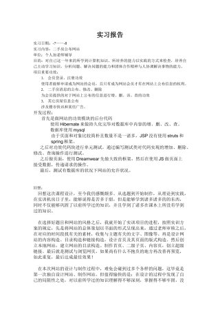 2025年网站开发实习报告