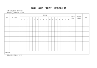 2025年回弹记录表
