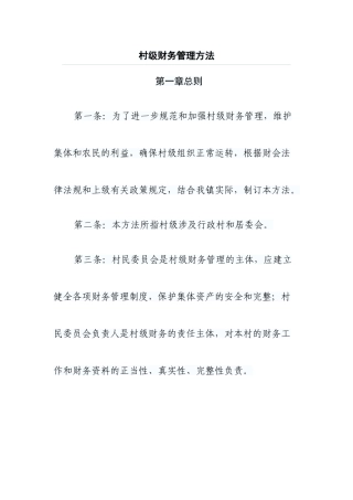 2025年村级财务管理办法
