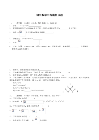 2025年初中数学中考模拟试题