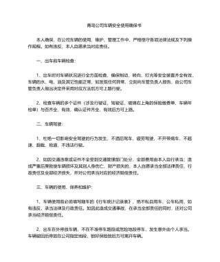 2025年车辆安全使用保证书