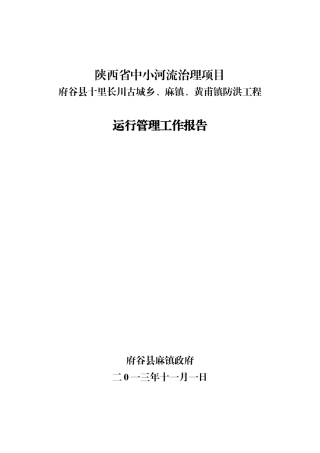 2025年提防工程运行管理报告
