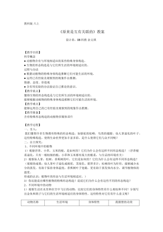 2025年《原来是相互关联的》教案