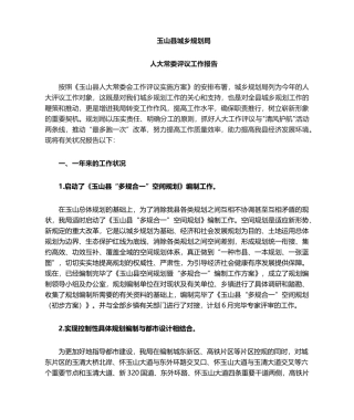 2025年人大调研汇报