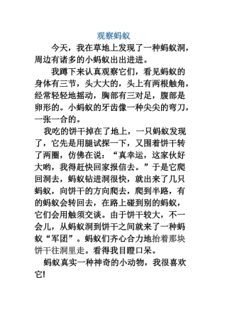 2025年观察蚂蚁日记
