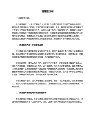 2025年清产核资管理建议书