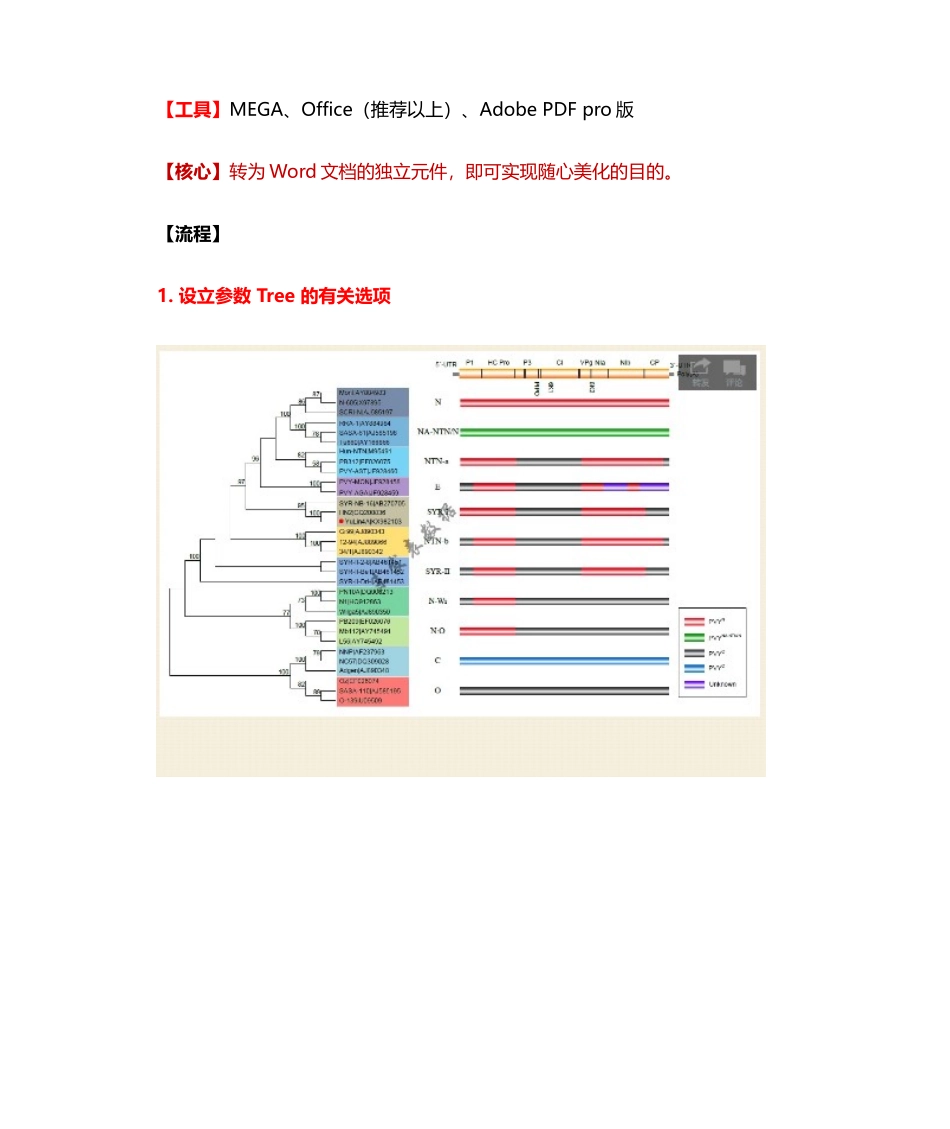 2025年系统发育树的美化MEGA篇引高老师_第1页