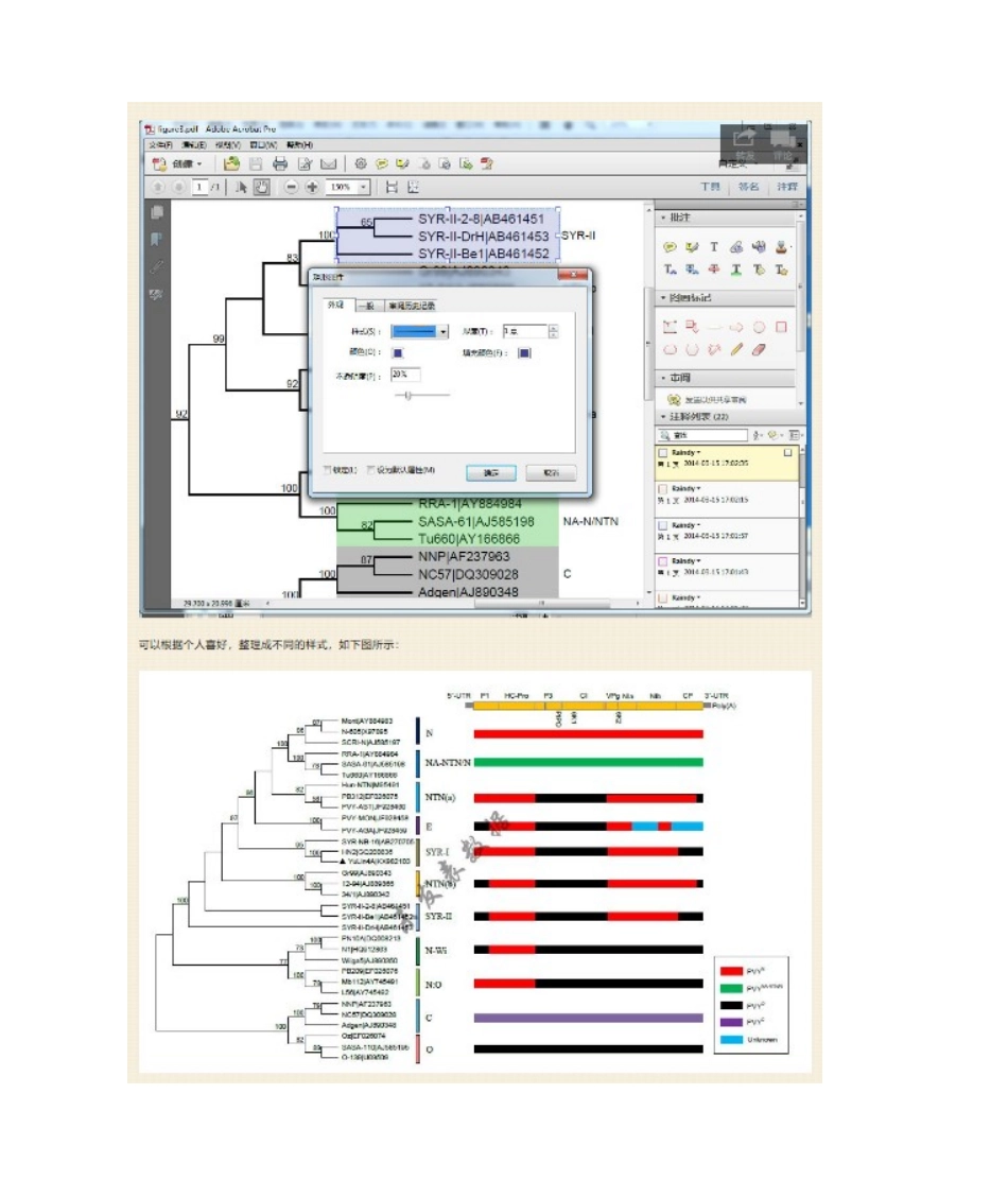 2025年系统发育树的美化MEGA篇引高老师_第2页