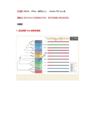 2025年系统发育树的美化MEGA篇引高老师
