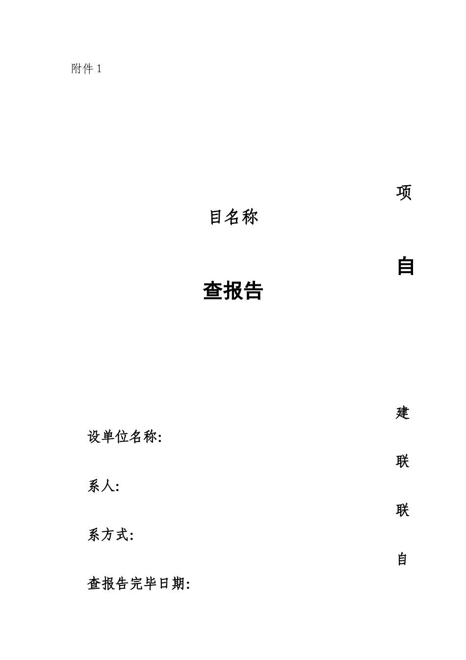 2025年项目自查报告_第1页