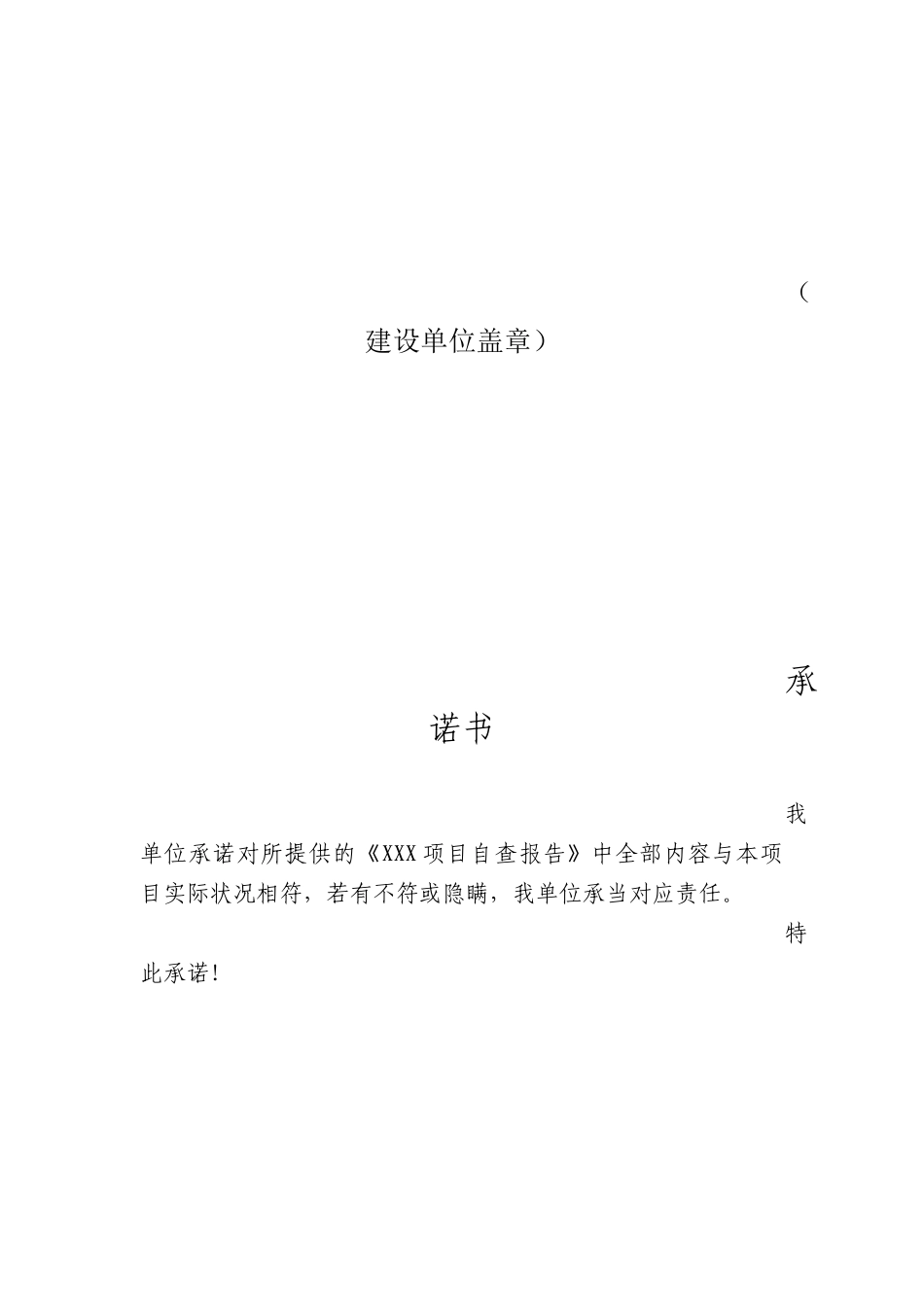 2025年项目自查报告_第2页