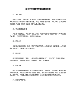 2025年项目可行性研究报告编写指南