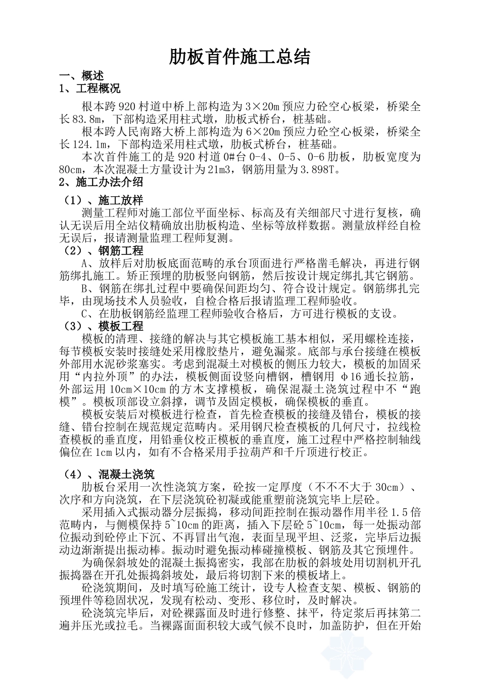 2025年肋板首件施工总结_第1页