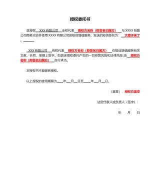 2025年新版授权委托书模板