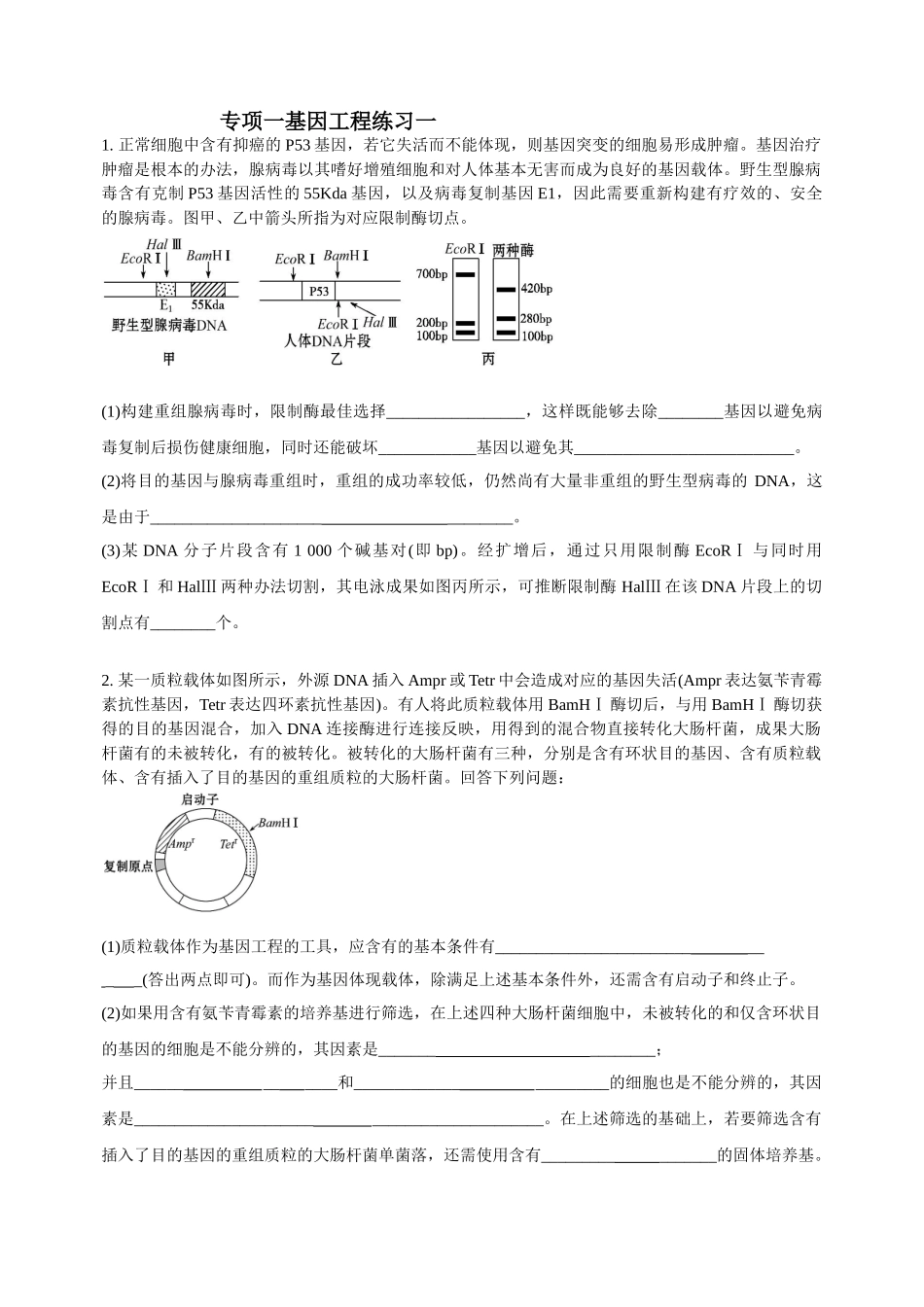 2025年专题一基因工程_第1页