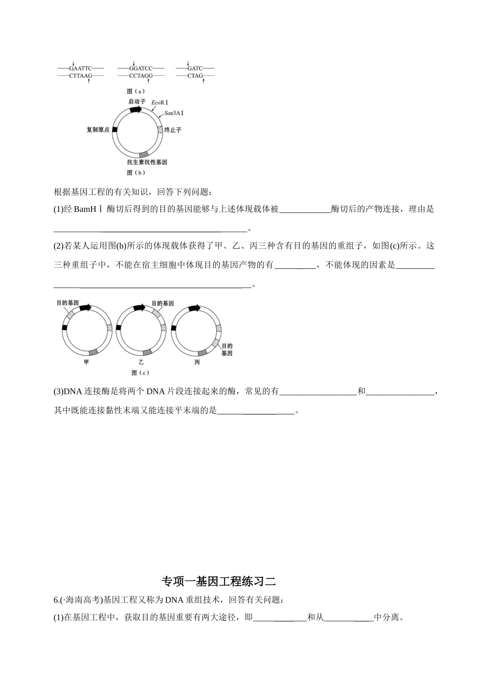 2025年专题一基因工程_第3页