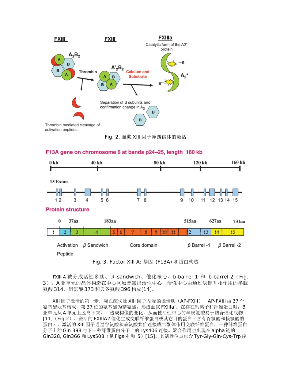 2025年XIII因子缺陷综述_第3页