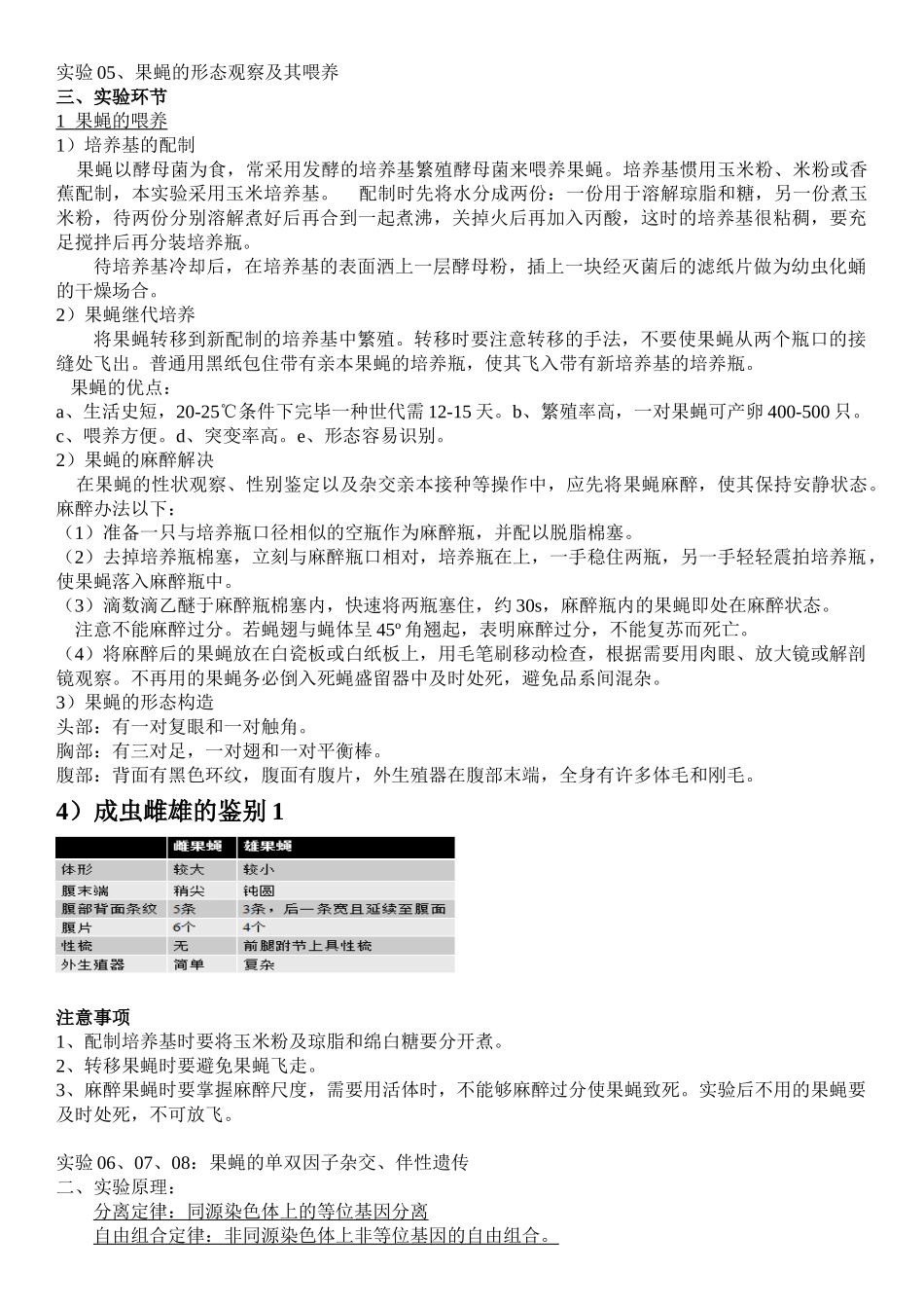 2025年遗传学实验讲解_第3页