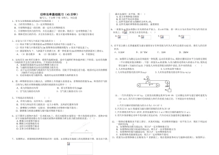 2025年功和功率基础练习题