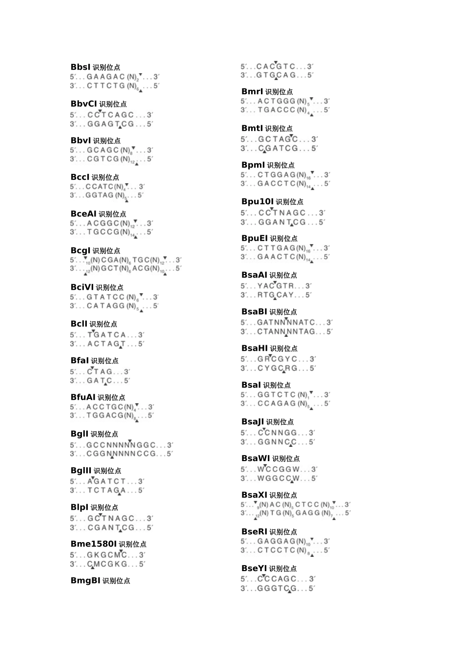 2025年史上最全限制性内切酶酶切位点汇总情况_第2页