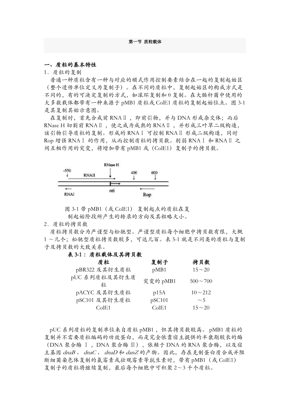 2025年质粒载体基础_第1页