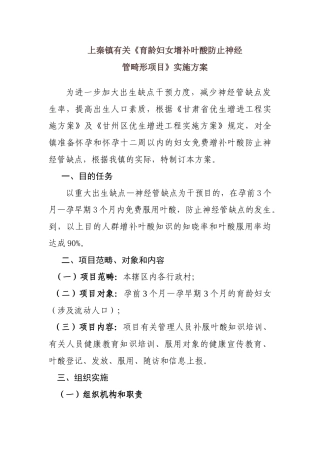 2025年叶酸发放实施方案