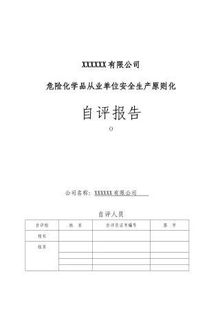2025年安全生产标准化自评报告