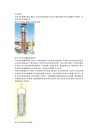 2025年气升环流式反应器