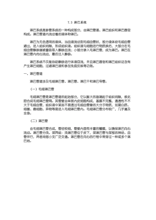 2025年人体解剖之淋巴系统