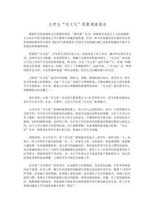 2025年大学生宅文化调查报告