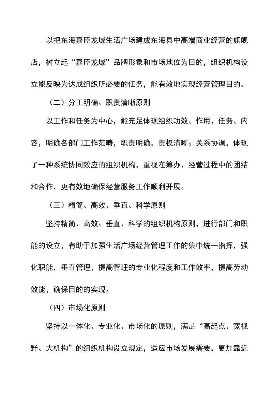 2025年组织架构设置方案设计_第3页