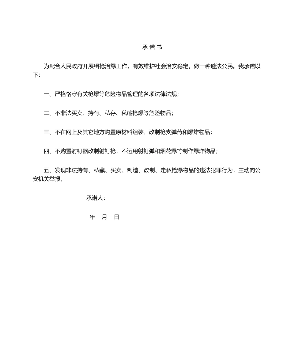 2025年承诺书_第1页