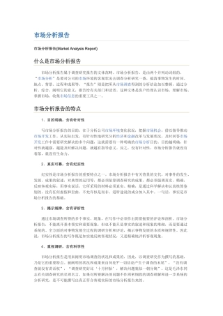 2025年市场分析报告