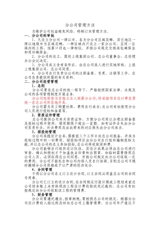 2025年分公司管理办法