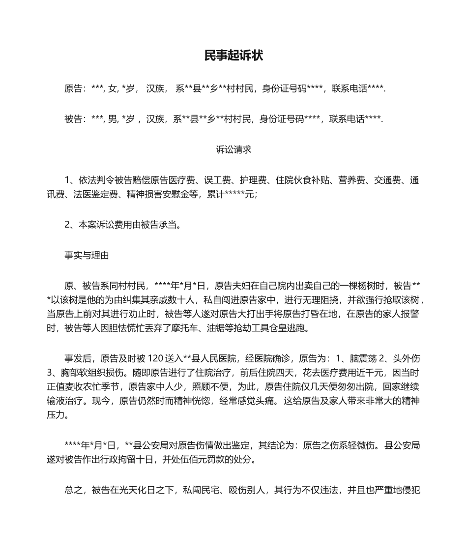 2025年轻微伤案件民事起诉状_第1页