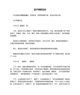 2025年豆子观察日记