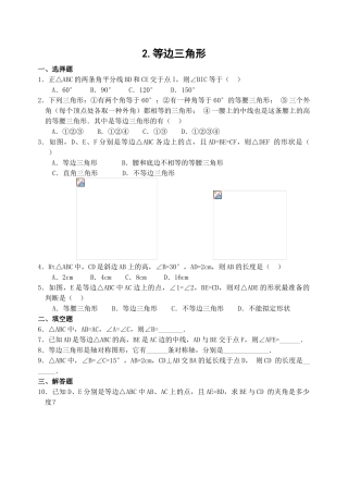 2025年等边三角形练习题