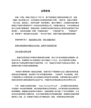 2025年anta企业文化