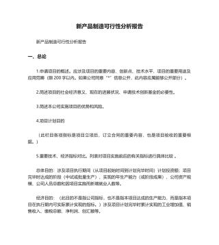 2025年新产品制造可行性分析报告