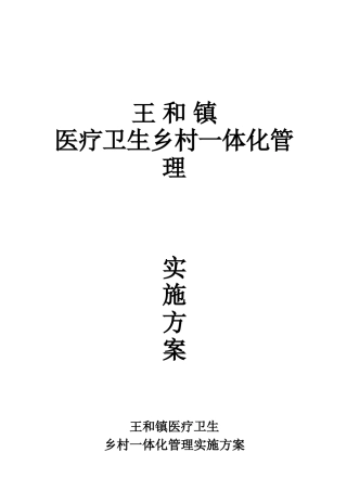 2025年乡村一体化管理实施方案