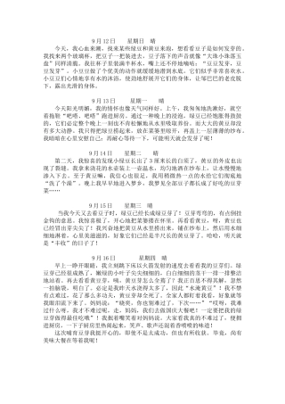 2025年观察日记五则观察豆芽 网摘