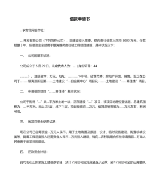 2025年借款申请书