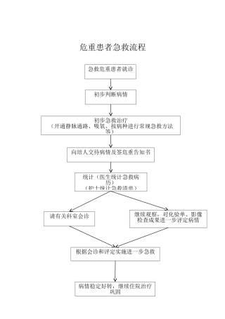 2025年抢救流程图