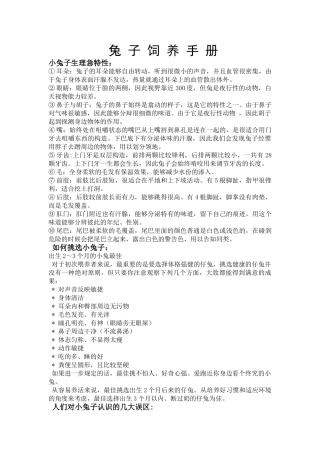 2025年兔子饲养手册