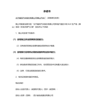 2025年汽车股份公司承诺书