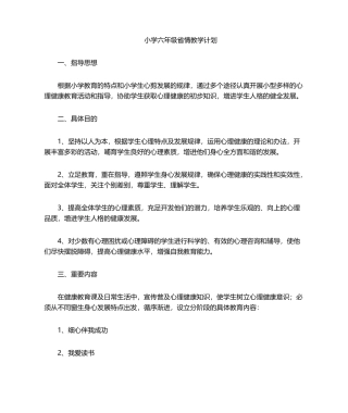 2025年省情教学计划